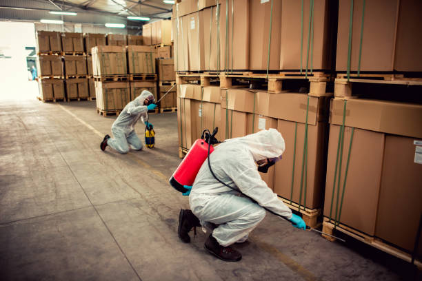 Best Termite Control Services  in Glen Ridge, NJ