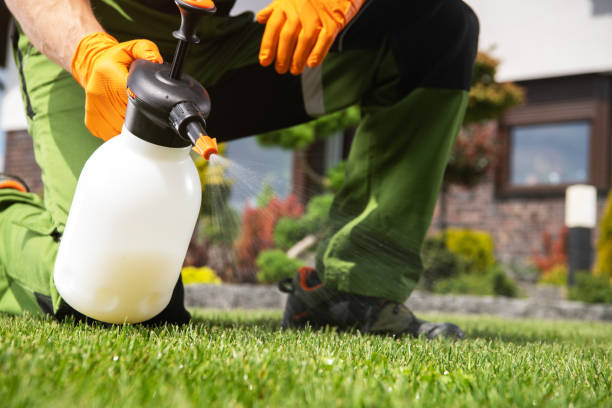Best Affordable Pest Control Services  in Glen Ridge, NJ