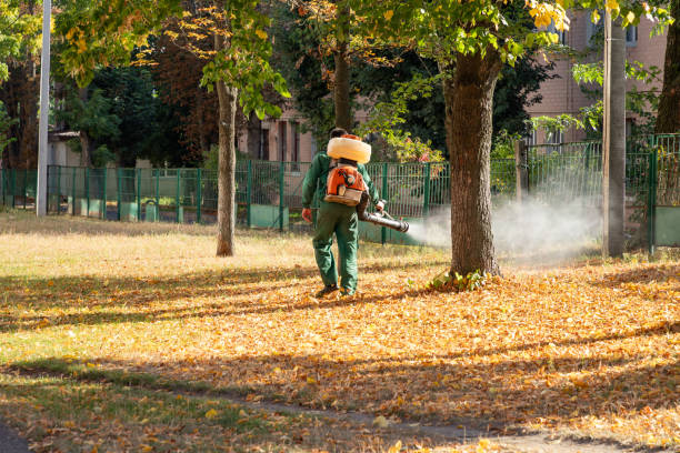 Professional Pest Control in Glen Ridge, NJ