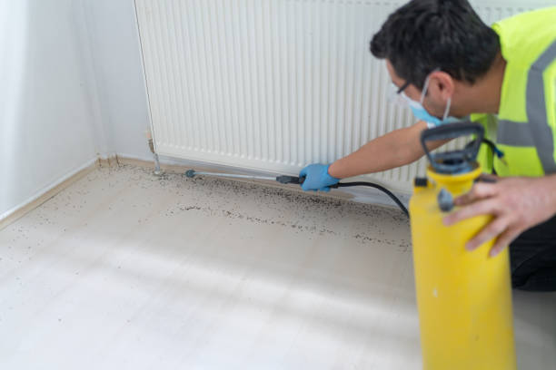 Best Pest Prevention Services  in Glen Ridge, NJ