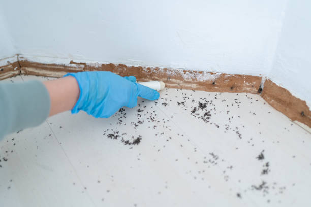 Best Commercial Pest Control Services  in Glen Ridge, NJ