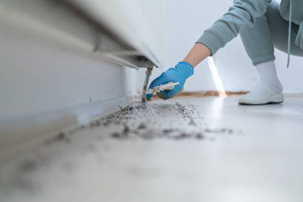 Best Local Pest Control Services  in Glen Ridge, NJ